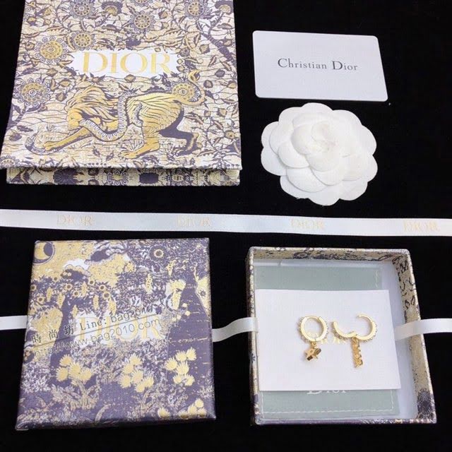 Dior飾品 迪奧經典熱銷款復古耳釘耳吊耳環  zgd1152
